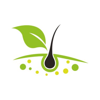 Zeytin logosu tasarımı illüstrasyonu Pro Vector Zeytinyağı damla logo tasarımı Saç ikonu logo tasarım şablonu vektörü