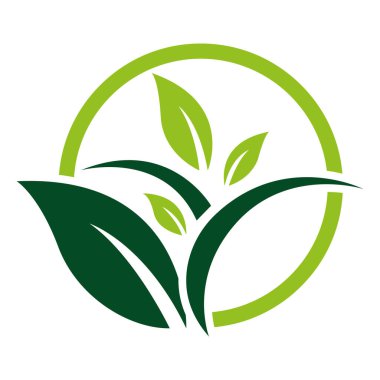 Organik Doğa Logosu Şablonu Yeşil Yaprak Çember Vektörü Eko Simgesi Tasarımı