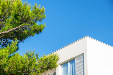 Berrak mavi gökyüzünün altındaki modern Akdeniz villası, bembeyaz, minimalist yüzünü kısmen gizleyen yemyeşil bir çam ağacı barındırıyor. Görüntü, Akdeniz mimarisinin özünü yansıtıyor. Güzellik ve huzur, doğal peyzaj..