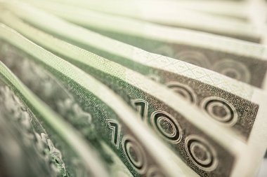 Macro, 100 Polonya Zloti banknotunun karmaşık tasarım ve dokusunu sergiliyor. Ayrıntılı güvenlik özelliklerinin yakalanması, Polonya 'nın finansal ve ekonomik yönlerini vurguluyor.