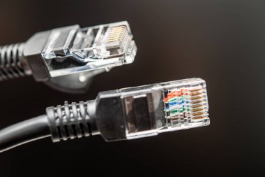 İki ağ ethernet kablosu açık konnektörler ve detaylı kablolar içeriyor. Modern ortamlarda internet bağlantısını, veri aktarım teknolojisini ve ağ çözümlerini resmetmek için mükemmel, dijital komün için gerekli araçları sergiliyor