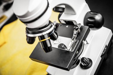 Laboratory microscope positioned above a prepared slide, highlighting scientific research tools used in biology and education for observing microscopic samples. clipart