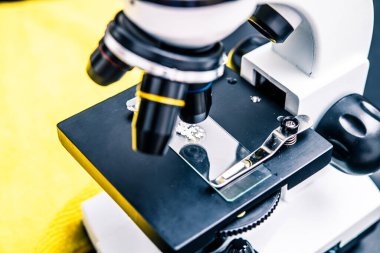 Laboratuvar mikroskobu cam kaydırma üzerine odaklanarak, profesyonel ortamdaki biyolojik araştırma, eğitim ve tıbbi analiz örneklerinin karmaşık detaylarını gözler önüne serdi..