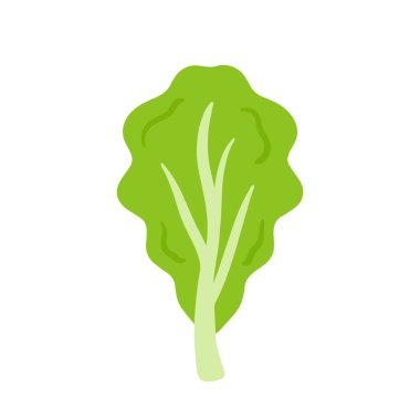 El çizimi marul yaprağı vektörü, yeşil yapraklı taze sebze şeffaf arkaplanda izole edilmiş gıda içeriği için çizgi film animasyonu.