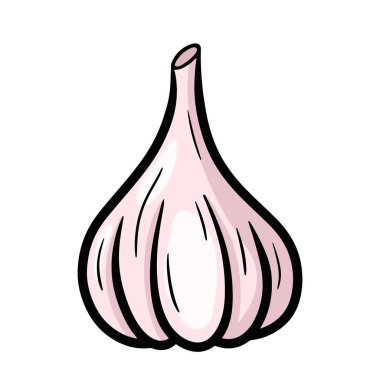 Baharat, Lezzet, Sebze ve Yiyecek Animasyon Karikatür İkonisi için özet çizilmiş Sarımsak Beyaz Arkaplanda İzole Edildi