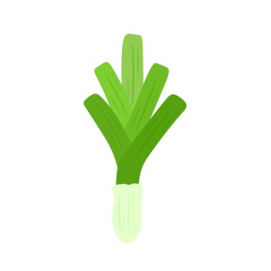 Pırasalı Sebze Vektör Simgesi İllüstrasyon Gıda Doğa Grafiksel Tasarımı Şeffaf Arkaplanda İzole Edildi