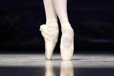 Bale bacakları, yakın plan fotoğraflarda. Yüksek kalite fotoğraf