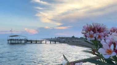 Kumsalın manzarası, çiçeklerin arasından manzara. Yaz batımı. Yüksek kalite 4k görüntü