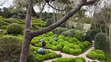 Etretat Gardens, Fransa manzaralı, İHA uçuşu iyi kalite 4K. Yüksek kalite 4k görüntü