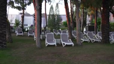 Otel bahçesindeki palmiye ağaçlarının altında plaj salonları. Yüksek kalite 4k görüntü