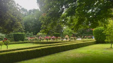 Herbst Palace Müzesi 'nin bahçesinde. Yüksek kalite 4k görüntü
