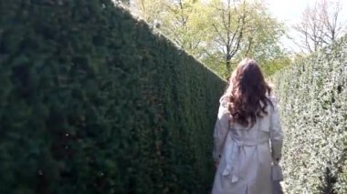 Keukenhof Park Nederlands 'ta bir labirent yeşil çalı. Yüksek kalite 4k görüntü