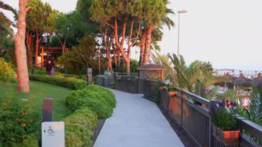 Yeşil bölgede gün batımı saatinde bir yürüyüş. Yüksek kalite 4k görüntü