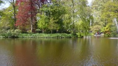 Keukenhof Park Hollanda 'sının panoramik manzarası. Yüksek kalite 4k görüntü