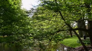Keukenhof Park Nederlands 'ın genel görünümü. Yüksek kalite 4k görüntü