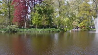 Keukenhof Park Hollanda 'sının panoramik manzarası. Yüksek kalite 4k görüntü