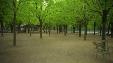 Paris, Lüksemburg Parkı 'nda yürüyüş. Yüksek kalite 4k görüntü