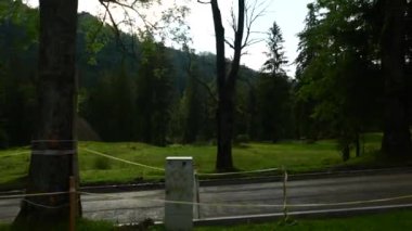 Kasperowy Wierch Dağı 'nın zirvesine giden yol, Zakopane, Polonya. Yüksek kalite 4k görüntü