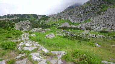 Yukarıdan panoramik manzara, Polonya, Zakopane. Kasprowy Wierch. Yüksek kaliteli FullHD görüntüler