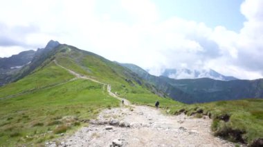 Zirveye giden yol, Polonya, Zakopane. Kasperowy Wierch. Yüksek kaliteli FullHD görüntüler