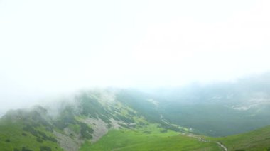 Üstte telefonu olan bir kız. Zakopane, bulutların sisinde panoramik manzara. Yüksek kalite 4k görüntü