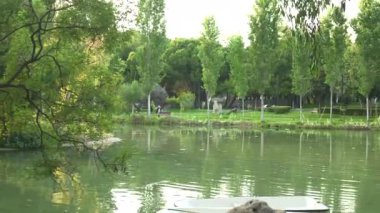 Güzel yeşil park ve göl, Antalya, Türkiye 'de beyaz tekneler. Yüksek kalite 4k görüntü