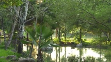 Antalya, Türkiye 'deki güzel yeşil park ve göl. Yüksek kalite 4k görüntü