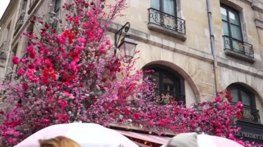 Yeni Yıl Paris, Fransa, Rue Saint-Martin 'de 11.12.2022 Noel atmosferi, bir restoran duvarında pembe çiçek süslemeleri, büyüleyici Paris caddesine şenlikli bir dokunuş.