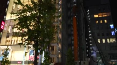 Tokyo, Japonya 'da 11 Ekim 2024' te kalabalık, dükkanlar ve hareketli şehir atmosferiyle hareketli bir akşam alışveriş sahnesi.. 