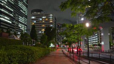 Tokyo 'nun gece panoramik manzarasında aydınlık gökdelenler, köprüler ve canlı gece ışıkları var. Şehir atmosferini hiç insan olmadan gösteriyor.. 