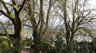 Fransa 'nın Mont-Saint-Michel kentindeki dinamik hareketleri çeken büyüleyici fotoğraflar, ortaçağ koridorları, hareketli turistler ve karmaşık mimari detaylar. 