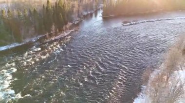 İsveç 'te akan bir nehrin havadan görünüşü, karlı ormanlarla çevrili ve yumuşak kış güneşiyle parlayan. 