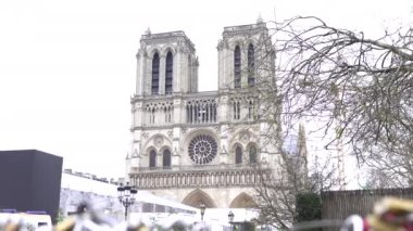 Paris Köprüsü 'nün korkuluklarında canlı aşk kilitleri var. Arka planda ikonik Notre Dame Katedrali manzarası var.. 