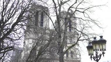Paris 'teki ikonik Notre Dame Katedrali, yeniden yapılanmadan sonra güzelce restore edilmiş, kış ağaçları ve eski bir sokak lambası çerçeveli..