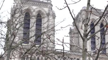 Paris 'teki Notre Dame Katedrali' nin ikiz kuleleri gotik zarafetlerini sergileyerek çıplak kış dallarıyla güzelce çerçevelenmiştir..