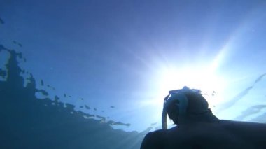 Serbest bir dalgıç zarif bir şekilde su yüzeyine yükselir, güneş ışınlarıyla aydınlatılır, bir maske takar ve okyanus sularında şnorkelle yüzer.. 