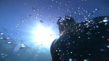 Bir şnorkelçi su yüzeyinin altından yükseliyor, hava kabarcıklarıyla çevrili, güneş ışığı içinden geçerken, dinamik ve canlı bir sualtı sahnesi yaratıyor..