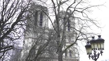 Paris 'teki ikonik Notre Dame Katedrali, yeniden yapılanmadan sonra güzelce restore edilmiş, kış ağaçları ve eski bir sokak lambası çerçeveli..