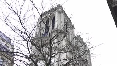 Paris 'teki Notre Dame Katedrali, gotik zarafetini ve çekiciliğini vurgulayan pitoresk bir kış sahnesinin ortasında yükseliyor.. 
