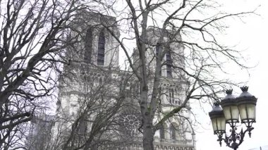 Paris 'teki ikonik Notre Dame Katedrali, yeniden yapılanmadan sonra güzelce restore edilmiş, kış ağaçları ve eski bir sokak lambası çerçeveli..