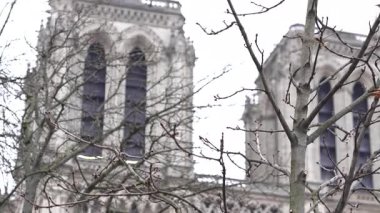 Paris 'teki Notre Dame Katedrali' nin ikiz kuleleri gotik zarafetlerini sergileyerek çıplak kış dallarıyla güzelce çerçevelenmiştir..