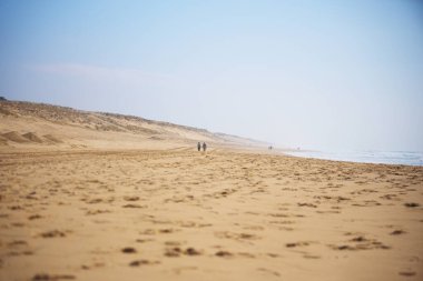İki kişi, açık mavi gökyüzünün altında, kumullarla çevrili, geniş ve sessiz bir sahil boyunca yürüyor.. 