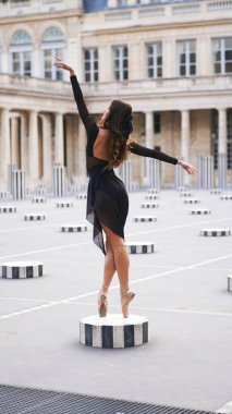 Sakin bir Paris avlusunda, klasik bale ve tarihi çevreyle zarafetini, gücünü ve zamansız zarafetini ifade eden dengeli bir balerin dikilir.. 