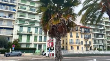 Güzel, Fransa 04.15.2025 Palmiye çizgili sokak manzarası, sakin bir günde ikonik gezinti güvertesi des Anglais yakınlarındaki klasik Akdeniz tarzı binalar. 