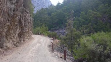 Toprak yol, çam ormanları ve dağlık bir arazide engebeli arazilerle çevrili dik bir uçurum boyunca esiyor. 