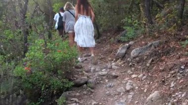 Bir grup insan, kayalar ve kuru yapraklarla dolu bir ormanda zorlu ve dar bir patika boyunca yürüyüş yapıyor. 