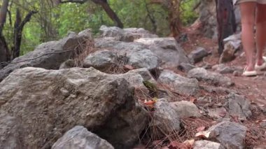 Kayalar ve kuru çam iğneleriyle kaplı engebeli bir orman yürüyüş yoluna yakın plan, arka planda kısmen görülebilen biri var. 