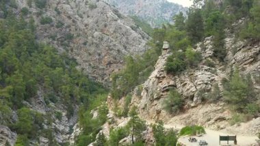 Kayalık uçurumlar, yoğun çam ormanı, dolambaçlı bir nehir ve manzaralı vadi üzerinde manzaralar sunan küçük bir piknik alanı olan güzel bir kanyon sahnesi..