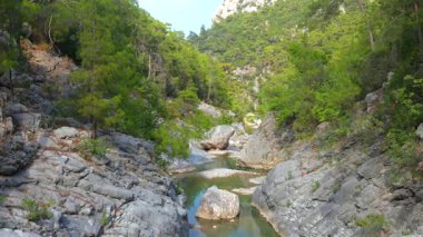 Dar dağ nehri kayalık kayalıkların arasından kıvrılıyor, manzaralı kanyon manzarasında canlı yeşil ormanlarla çevrili..