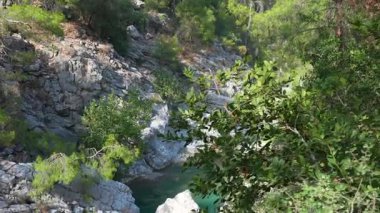 Kayalık uçurumlarla sakin kanyon manzarası, yemyeşil ağaçlar ve yukarıdaki ormanı yansıtan turkuaz bir su havuzu..